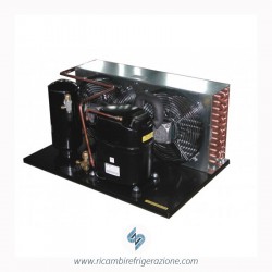 unità condensatrice ad aria compressore nj2212gs bassa temperatura doppio ventilatore