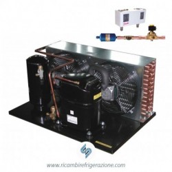 unità condensatrice ad aria compressore nek6217gk a valvola con accessori
