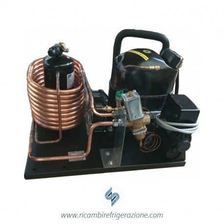 Unità condensatrice mista aria/acqua compressore NT6220GK a valvola