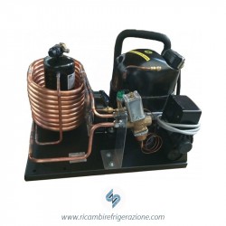 Unità condensatrice mista aria/acqua compressore NT6226GK a valvola